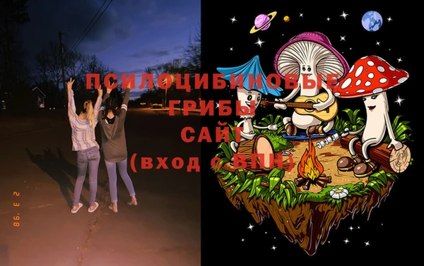Альфа ПВП Богородицк