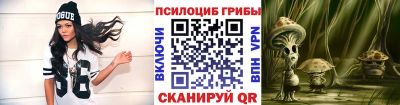 omg ТОР Тулун Псилоцибиновые грибы Cubensis