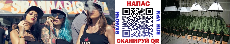 Бошки марихуана MAZAR  купить наркоту  Тулун 